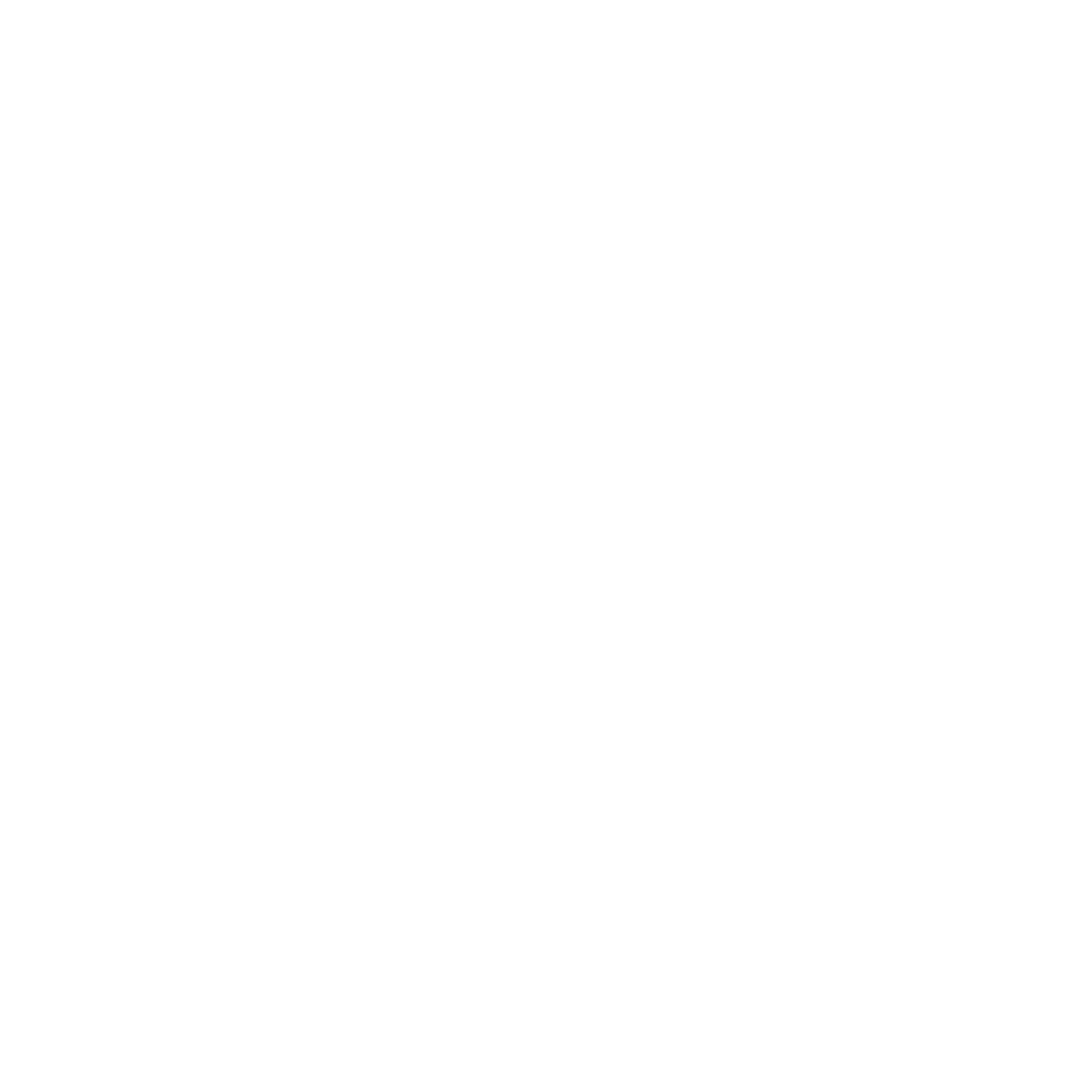 NSSR Logo